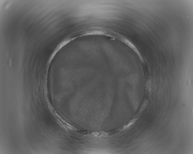 X0000060791146200512011659