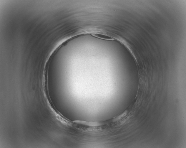 X0000060791147200512011659