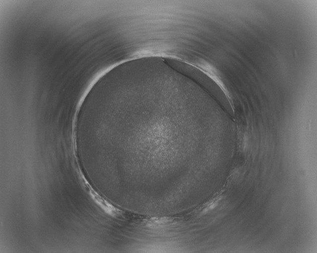 X0000060791148200512011659