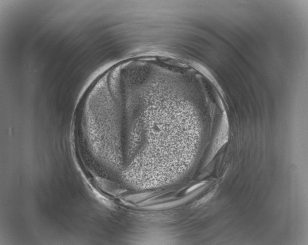 X0000060791149200512011659