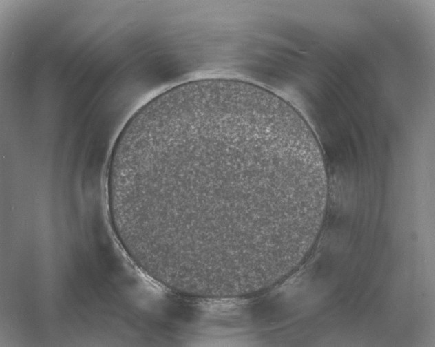 X0000060791150200512011659