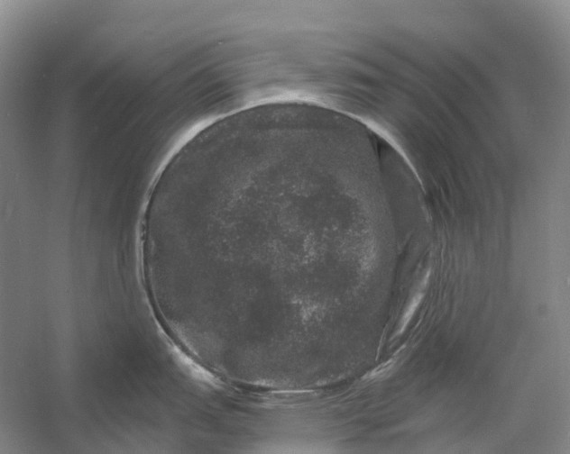 X0000060791151200512011659