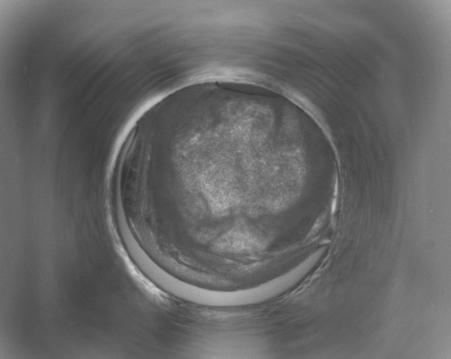 X0000060791152200512011659