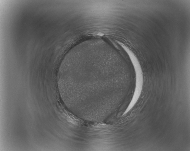 X0000060791153200512011658