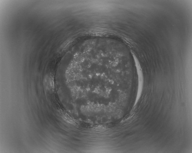 X0000060791155200512011658