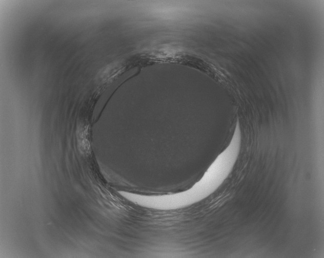 X0000060791156200512011658