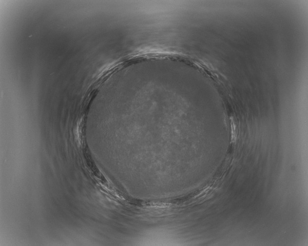 X0000060791157200512011658