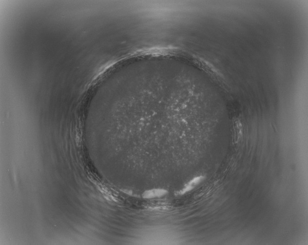 X0000060791158200512011658