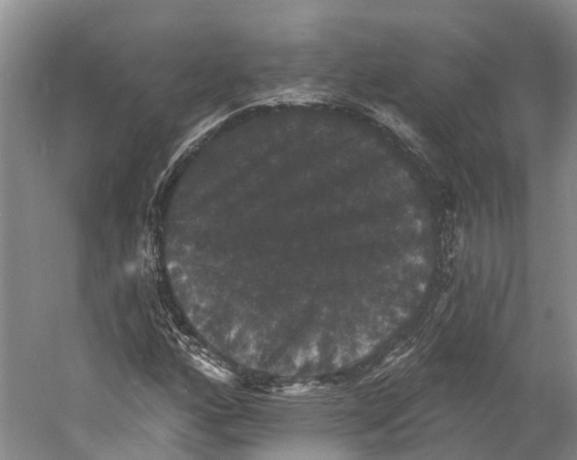 X0000060791160200512011658