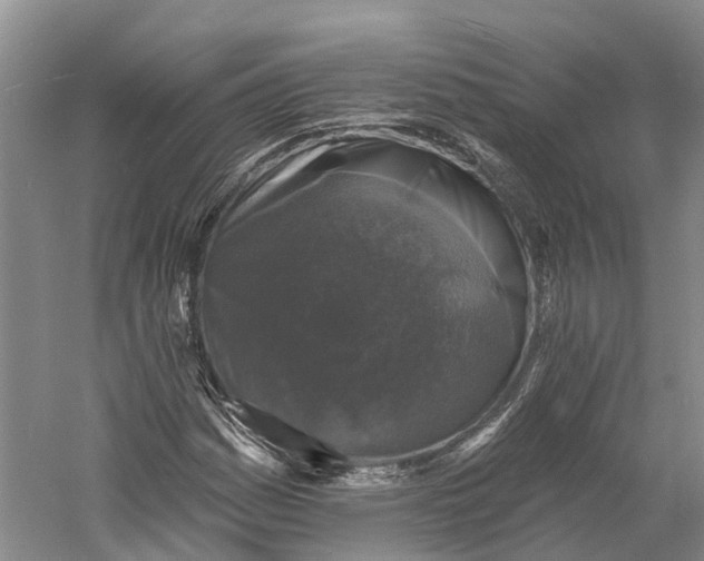 X0000060791161200512011658