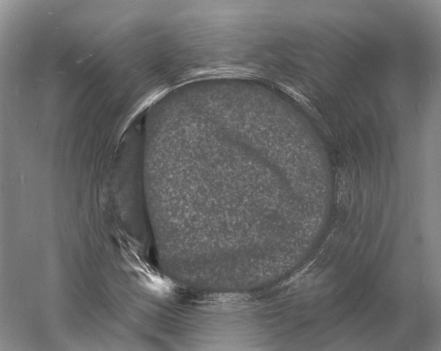 X0000060791163200512011658