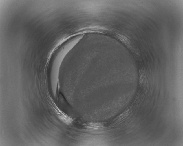 X0000060791164200512011658