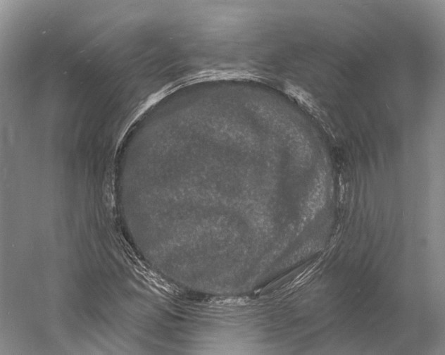 X0000060791165200512011658