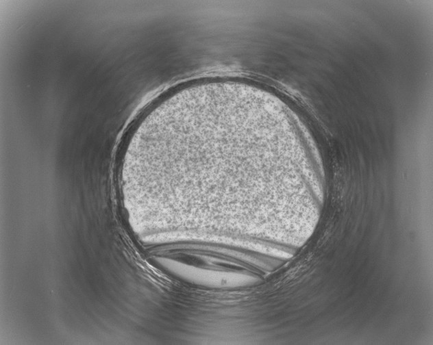 X0000060791168200512011658