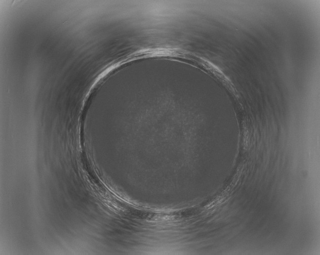 X0000060791174200512011658