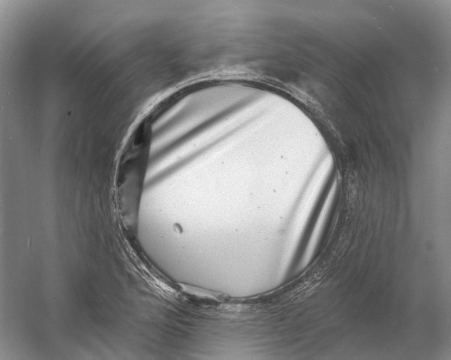 X0000060791176200512011658