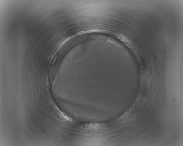 X0000060791177200512011658