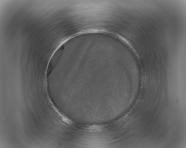 X0000060791178200512011658