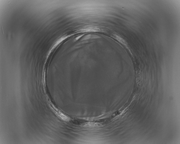 X0000060791179200512011658