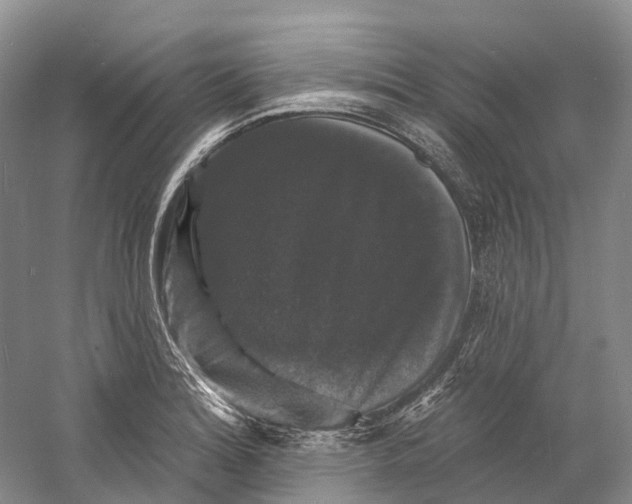 X0000060791180200512011658