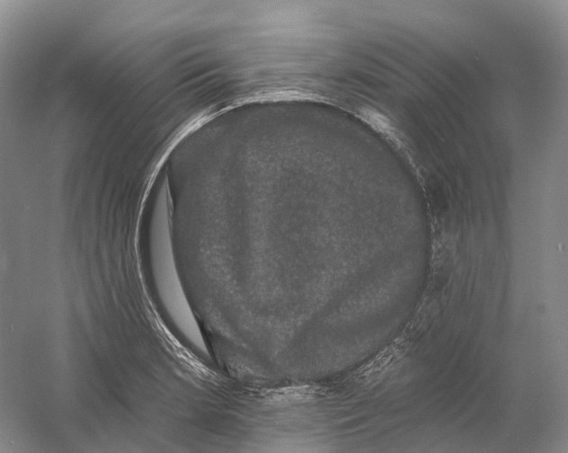 X0000060791181200512011658