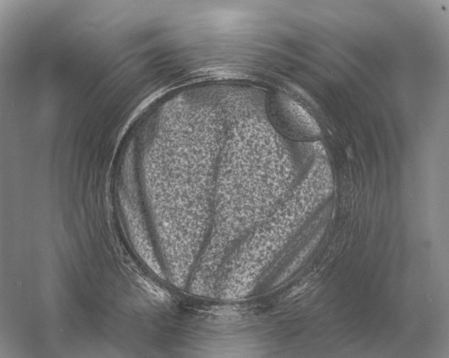 X0000060791182200512011658