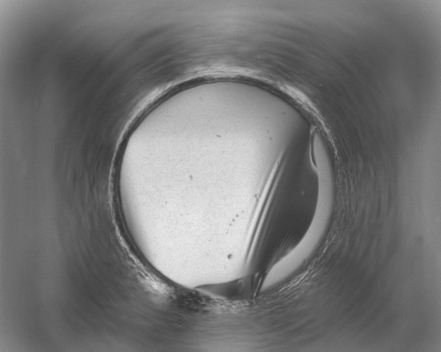 X0000060791183200512011658