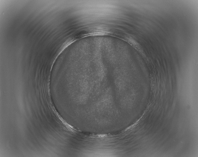 X0000060791186200512011658