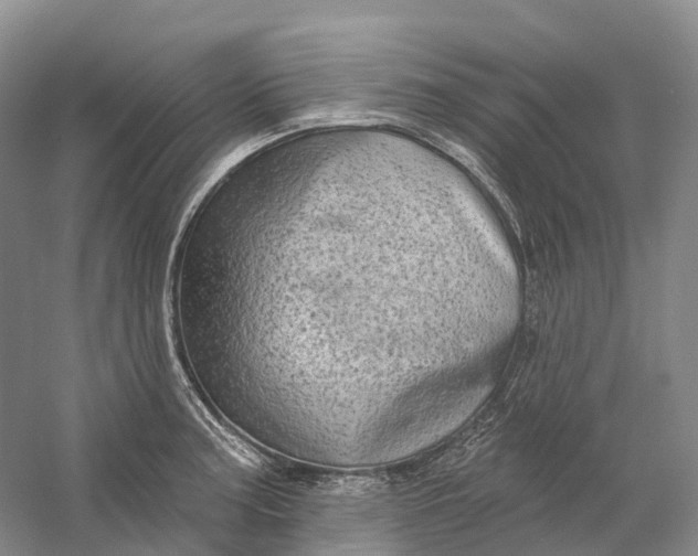 X0000060791187200512011657