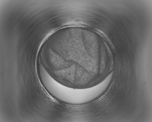 X0000060791188200512011657