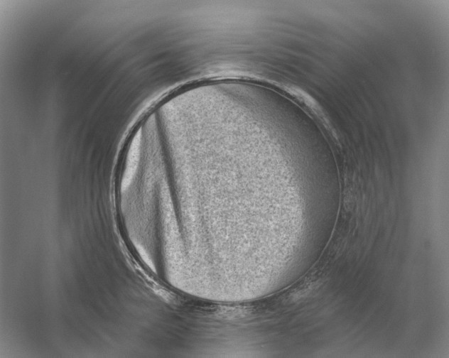 X0000060791191200512011657