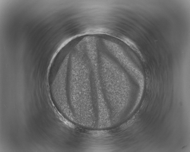 X0000060791192200512011657