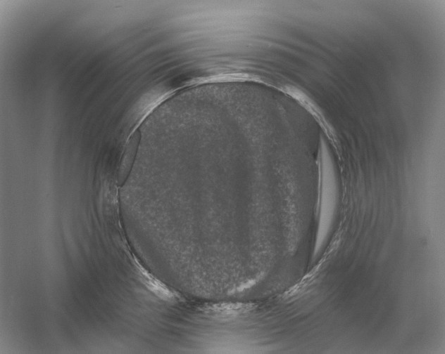 X0000060791193200512011657