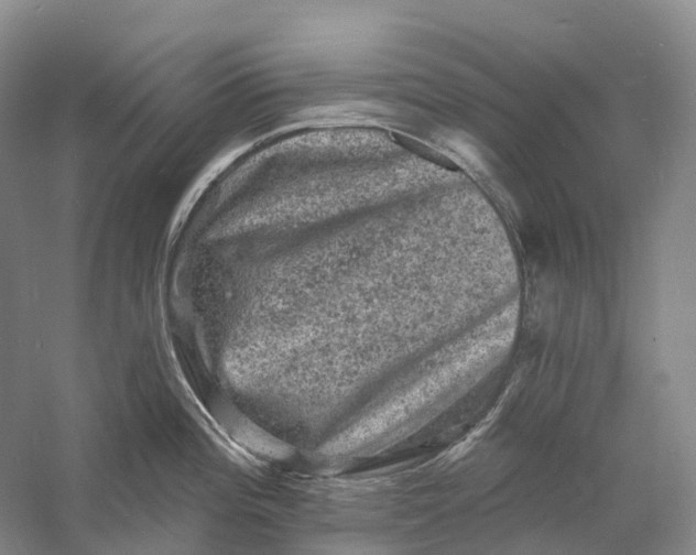 X0000060791196200512011657