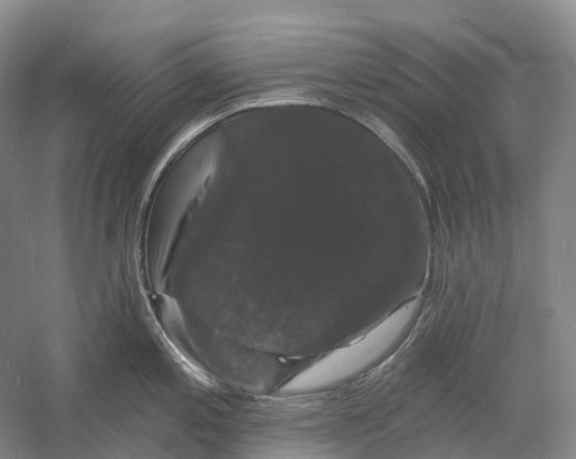 X0000060791197200512011657