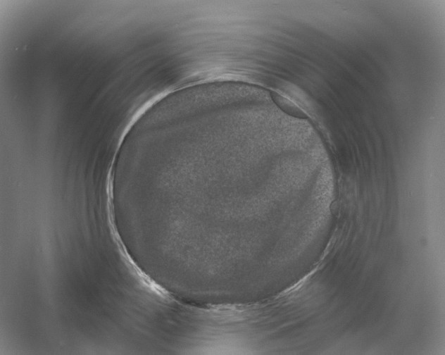 X0000060791198200512011657