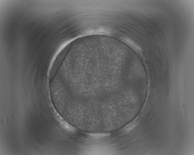 X0000060791200200512011657