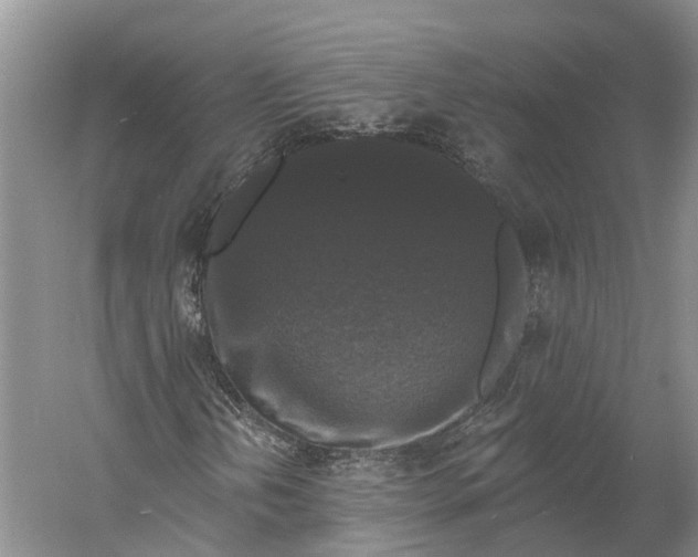 X0000060791202200512011656