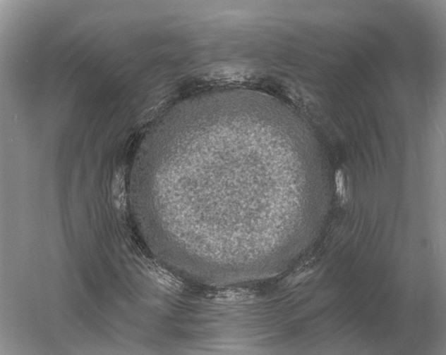 X0000060791203200512011656