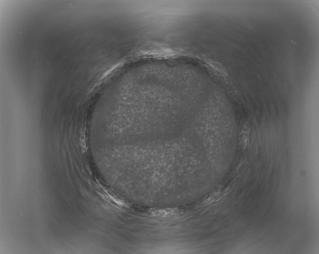 X0000060791205200512011657