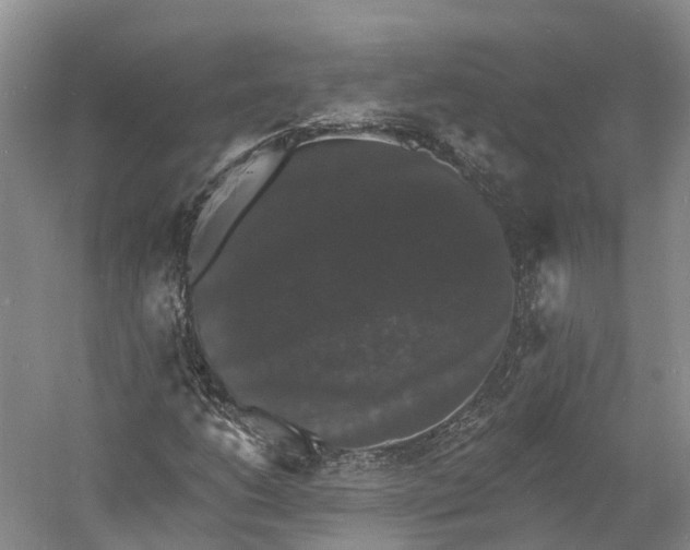 X0000060791206200512011657