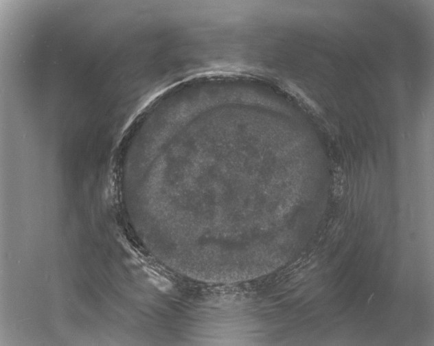 X0000060791208200512011657