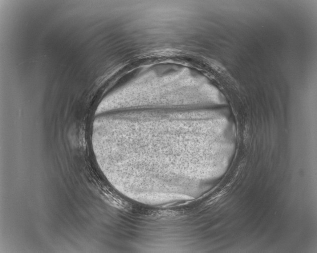 X0000060791209200512011657