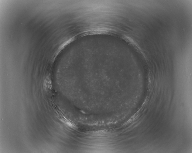 X0000060791210200512011657