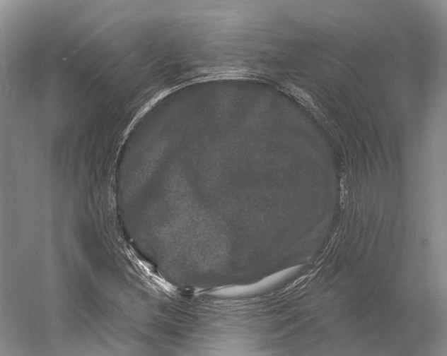 X0000060791212200512011657