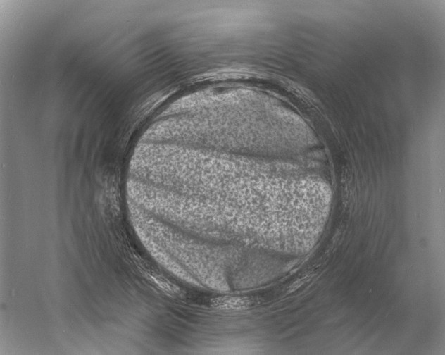 X0000060791217200512011657