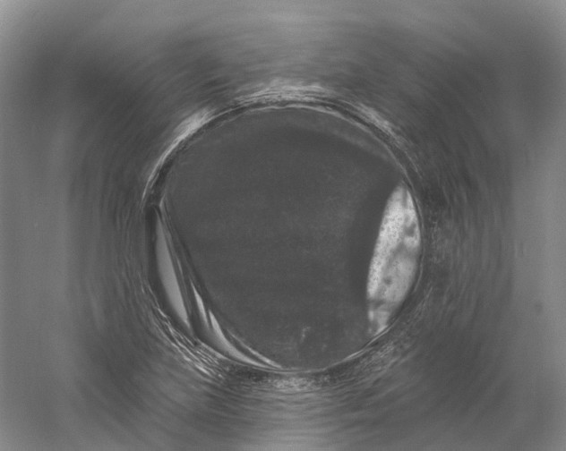 X0000060791219200512011657