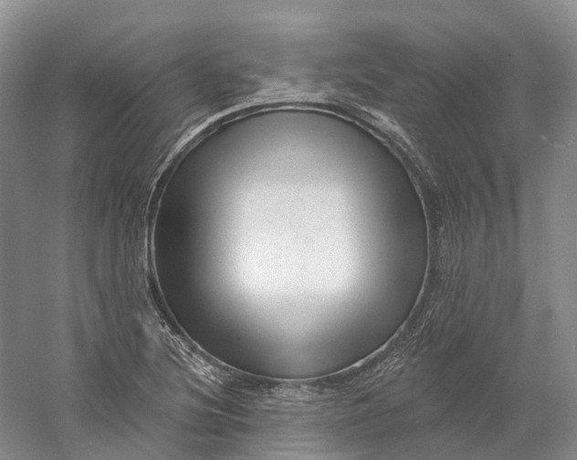 X0000060791220200512011657