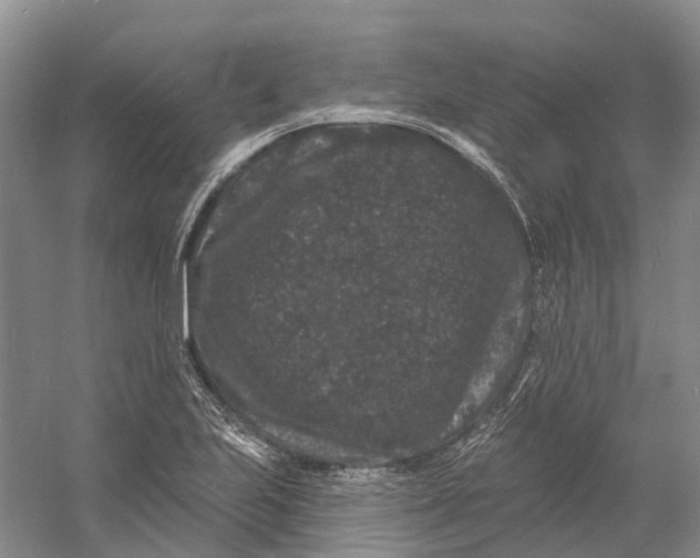 X0000060791223200512011657