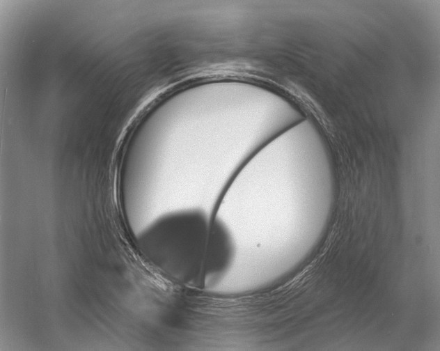 X0000060791224200512011657